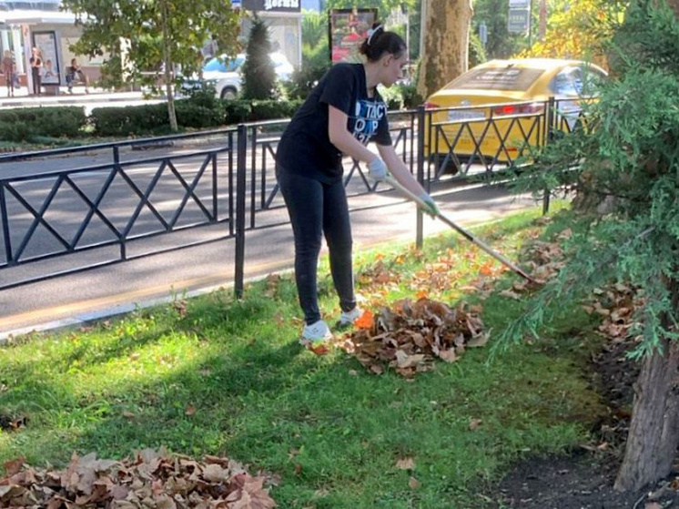 Сочинцы навели чистоту в районах города в рамках субботника