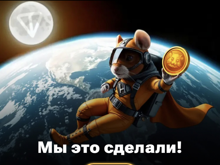 Hamster Kombat: сколько псковичам удалось заработать на популярной игре