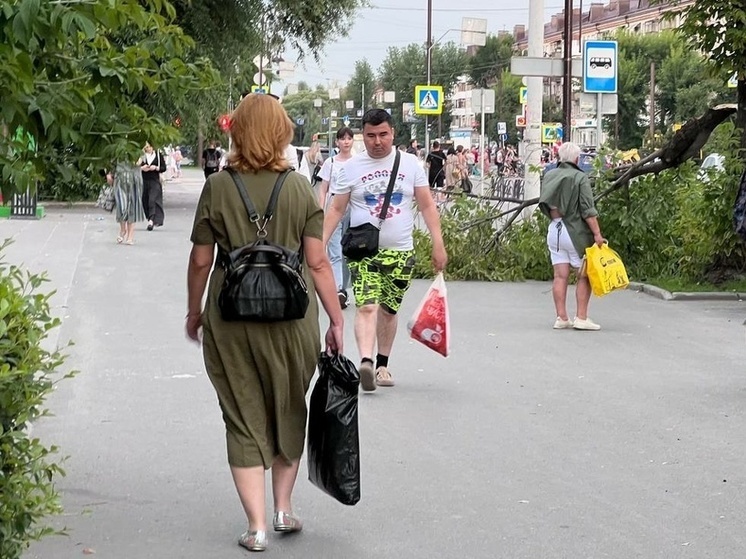 МЧС предупреждает туляков о сильном ветре в ближайшие часы