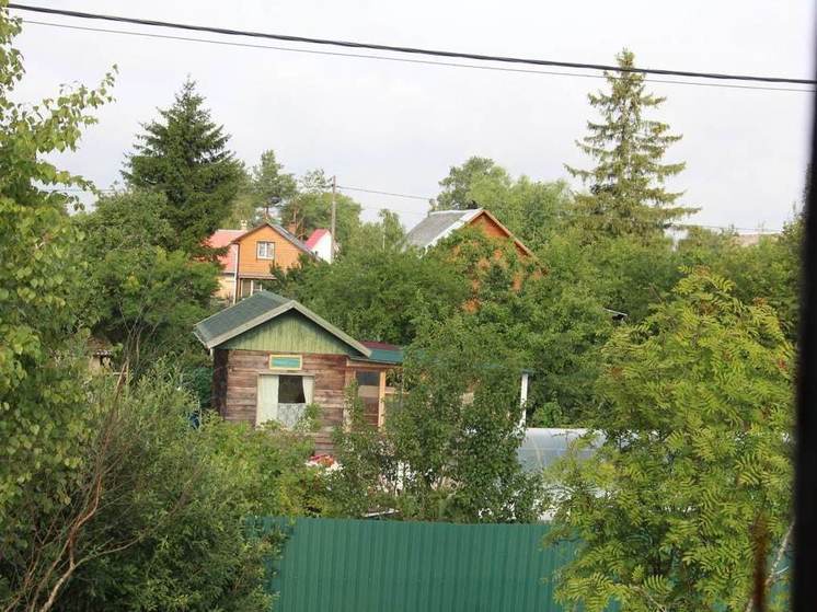 Новгородским рыбакам и лесникам бесплатно дадут землю