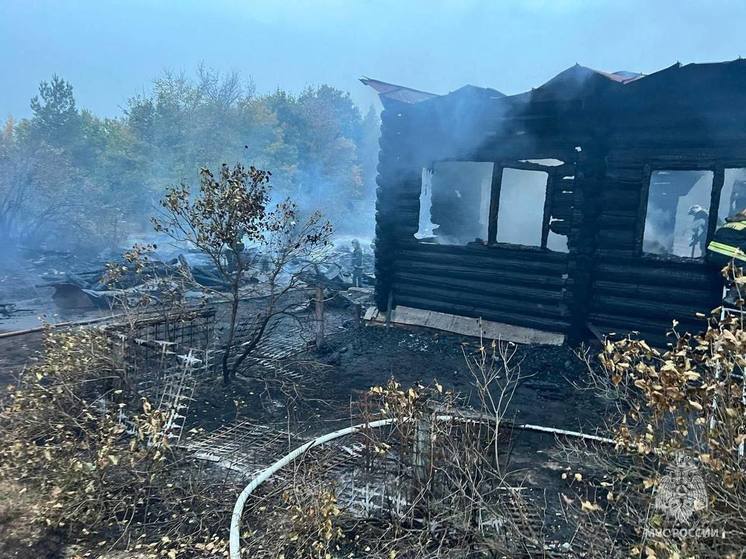 Три человека погибли при пожаре в Подмосковье