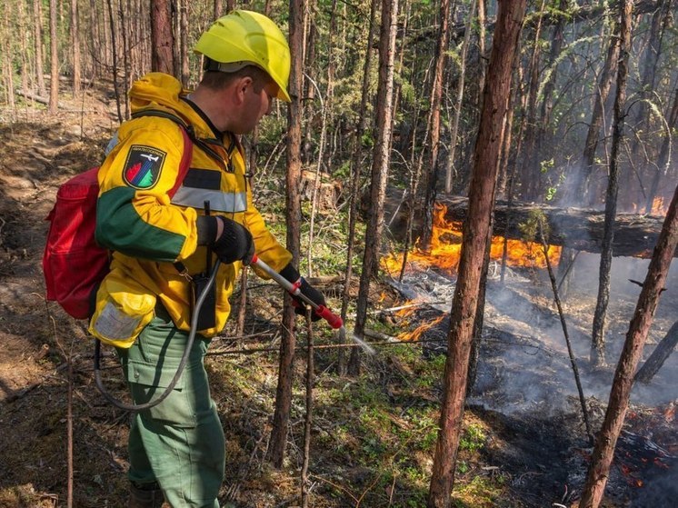 50 пожарных парашютистов из Красноярска прилетят тушить лес в Забайкалье