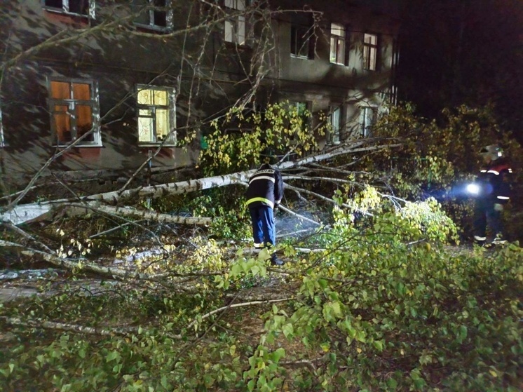 Непогода во Владимире принесла первые проблемы