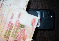 Мошенники обманули 11-летнюю жительницу Приаргунского района Забайкальского края, которая ради улучшения своих позиций в компьютерной игре перевела с банковских карт матери все деньги и оформила онлайн-кредит