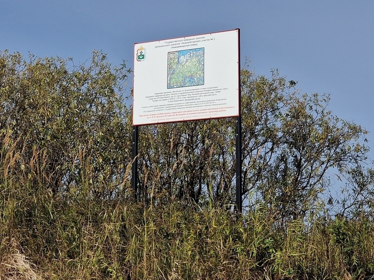 На особо охраняемых природных территориях устанавливают информационные аншлаги