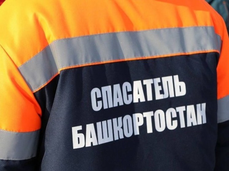 Житель Башкирии повредил позвоночник во время охоты
