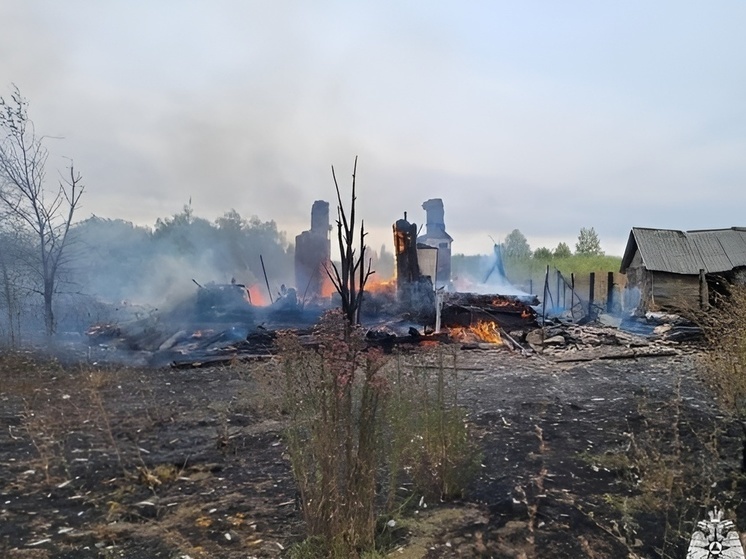 Под городом Рассказово Тамбовской области произошёл пожар