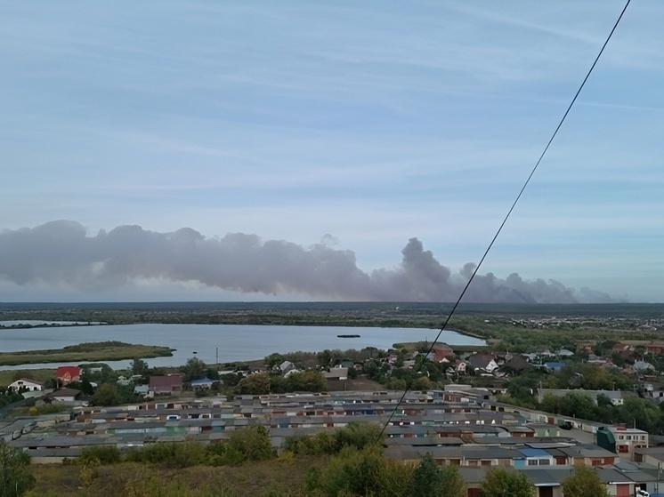 Лесной пожар под Тамбовом: усилия по тушению продолжаются второй день