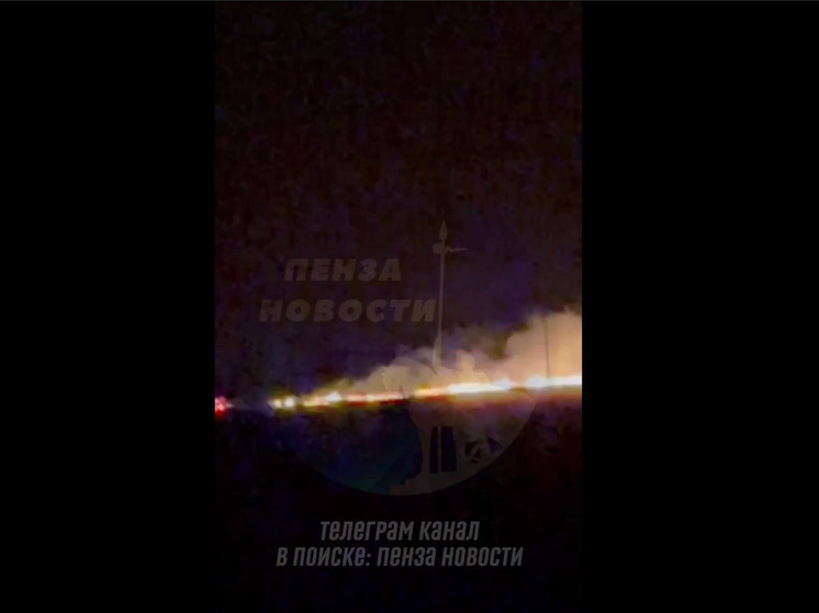 Ночью в Пензенской области загорелось поле