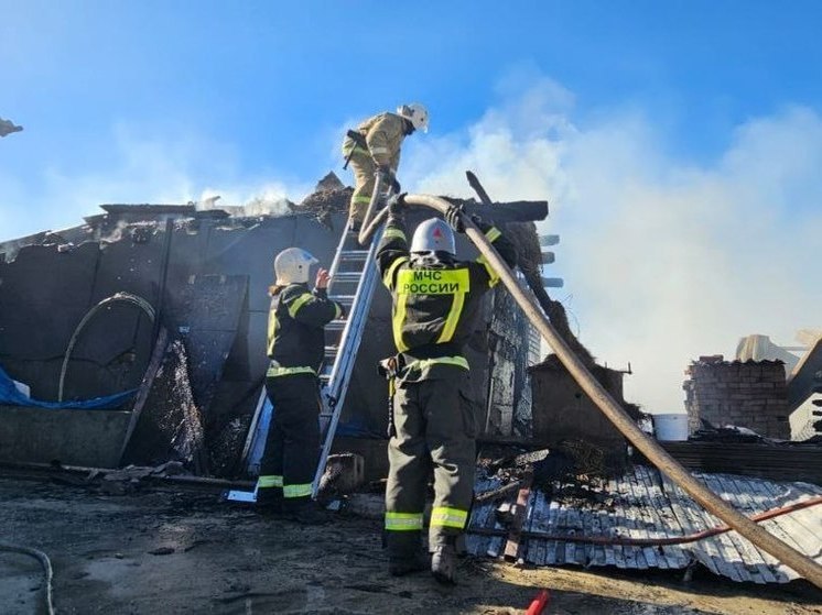 В Пензенской области за сутки ликвидировали 33 пожара