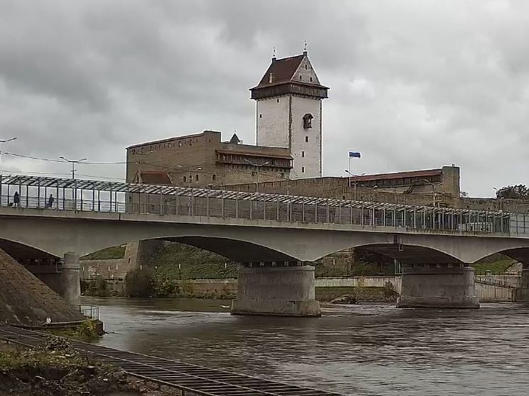 Гражданку Эстонии, похитившую деньги с банковской карты в Ивангороде, заключили под стражу на полтора месяца