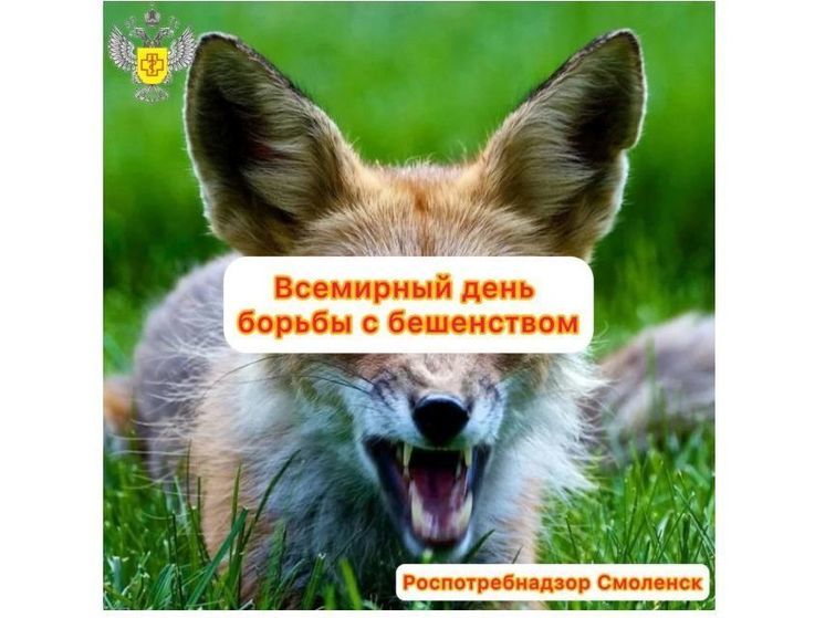 Смоленский Роспотребнадзор напоминает: бешенство смертельно опасное заболевание