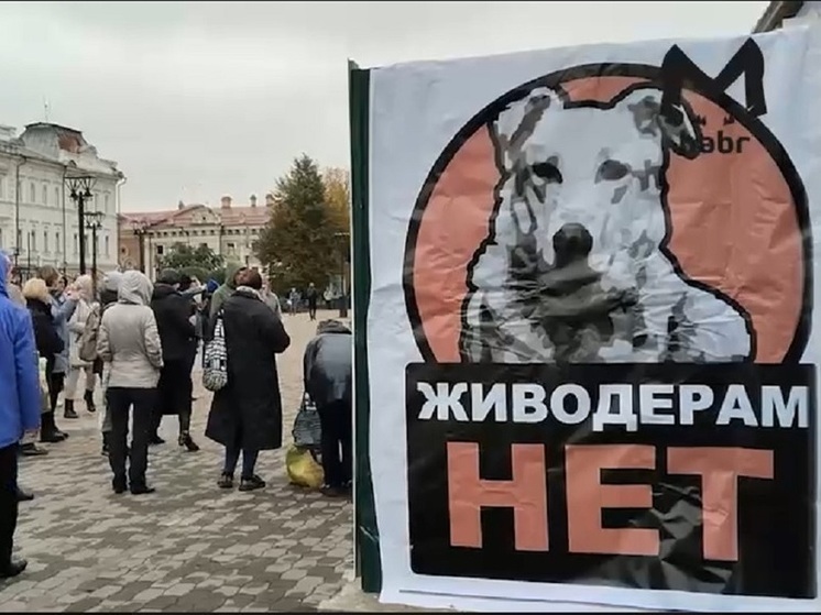 В Иркутске митинговали против жестокости с животными