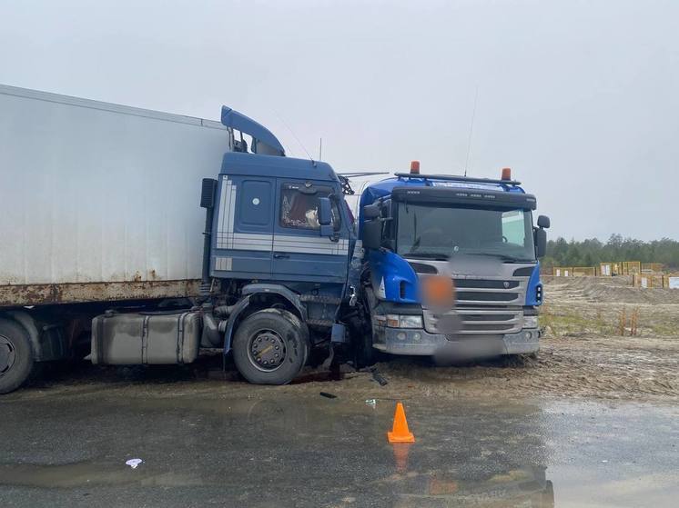 Две Scania столкнулись на трассе Ямала: пострадал водитель