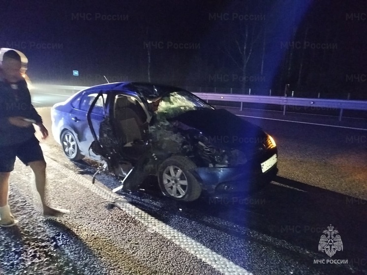 В Сафоновском районе на трассе М-1 в тройном ДТП пострадал человек