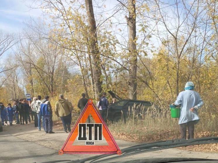 Две легковушки вылетели в кювет на трассе в Пензенской области
