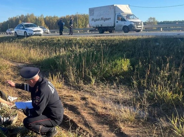 Стали известны новые подробности ДТП с шестью пострадавшими на трассе М5 Урал