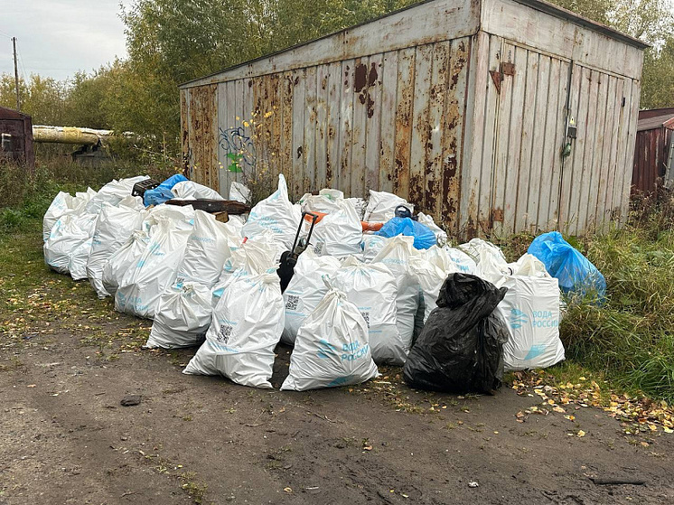 В Поморье продолжаются мероприятия экосубботника движения «Зеленая Россия»