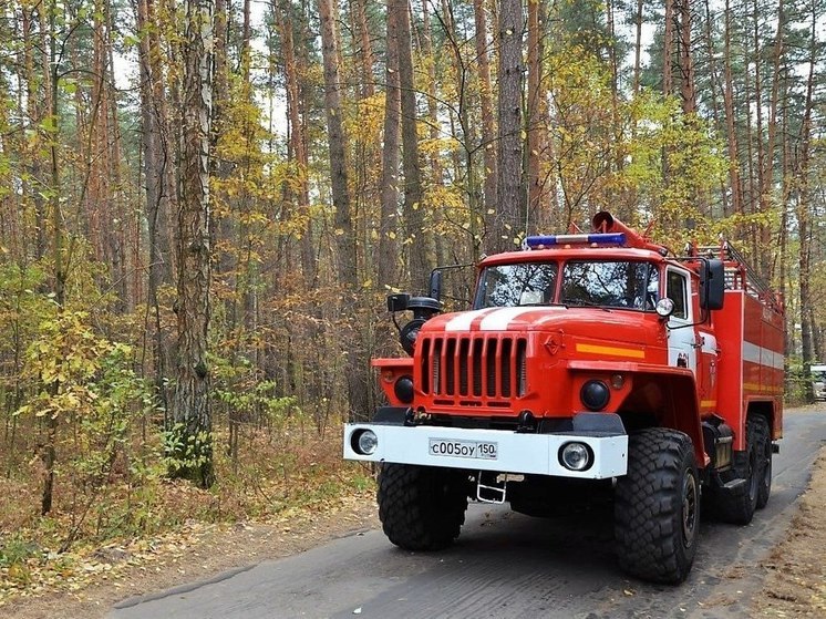 МЧС призывает жителей Подмосковья не сжигать опавшую листву