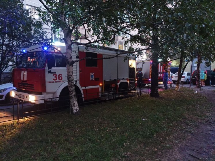 В Петербурге из-за пожара в трехкомнатной квартире эвакуировали 20 человек