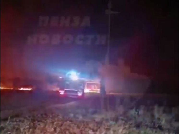На одном из полей Каменского района произошел пожар