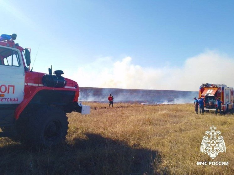 В Крыму пожарные ликвидируют возгорание сухой травы