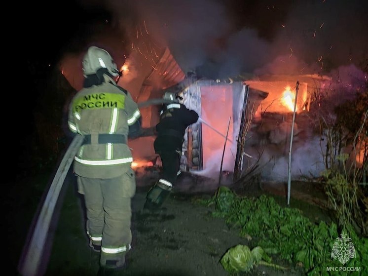 Крупный пожар уничтожил частный дом в пригороде Барнаула