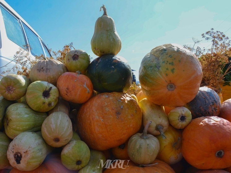 Ярмарка сельхозпродукции из Забайкалья пройдет в Чите 5 октября