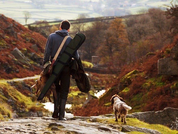До начала охоты на песца в НАО осталось меньше суток
