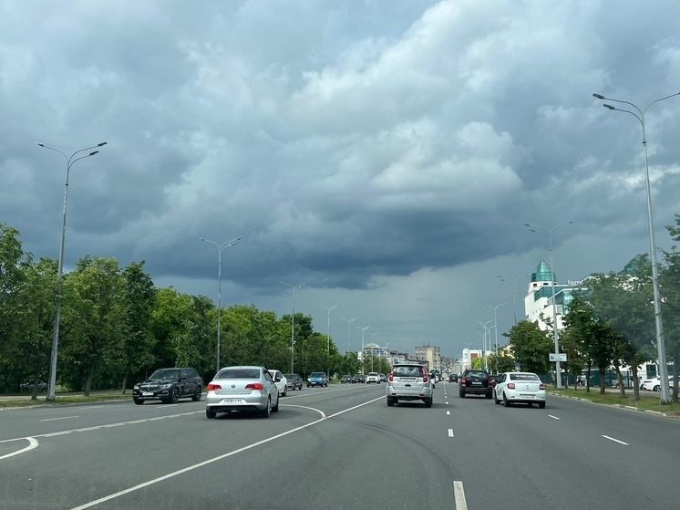 Какая погода будет в Тверской области на неделе: нужен ли зонт