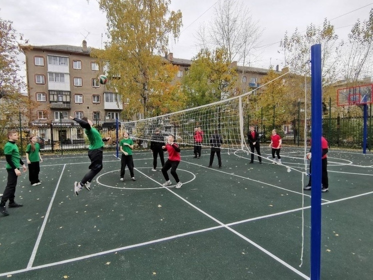 В Кемерове откроют места для выгула детей и собак