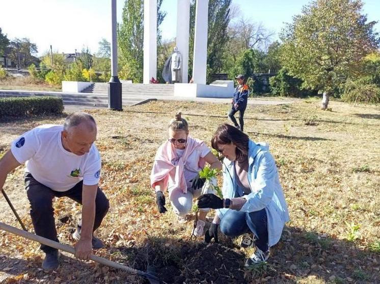 Чувашия помогает в лесовосстановлении ДНР, ЛНР, Запорожской и Херсонской областей