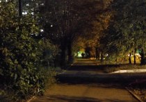 Двое мужчин, которые на улице в Чите стали случайными свидетелями ограбления, помогли полицейским задержать подозреваемого