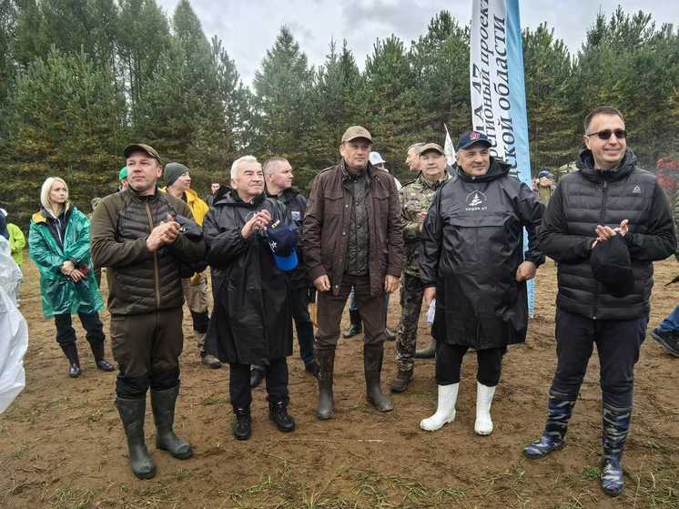 Ленобласть завершила акцию «Сохраним лес» с рекордным результатом