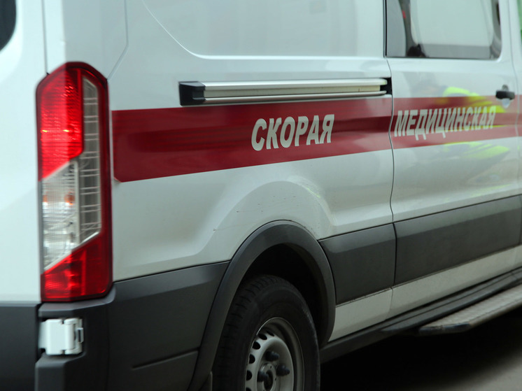 Убило деревом: жительница Подмосковья погибла в лесу во время стихии