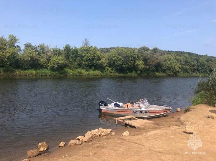 В Смоленске на Днепре утонул мужчина