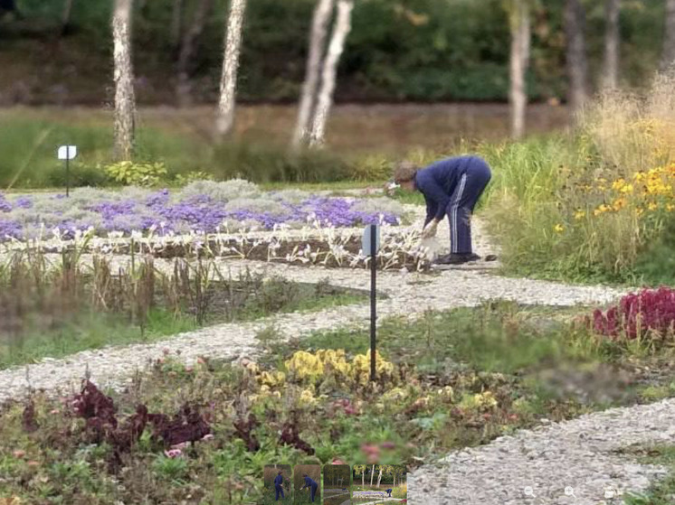 Южносахалинка выкопала цветы на клубке в парке Гагарина