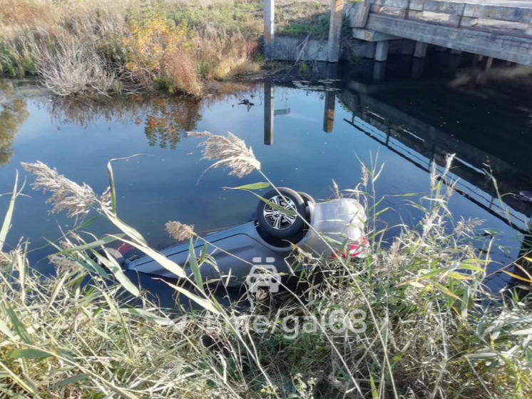 В Сосновском округе водитель иномарки погиб при падении в реку