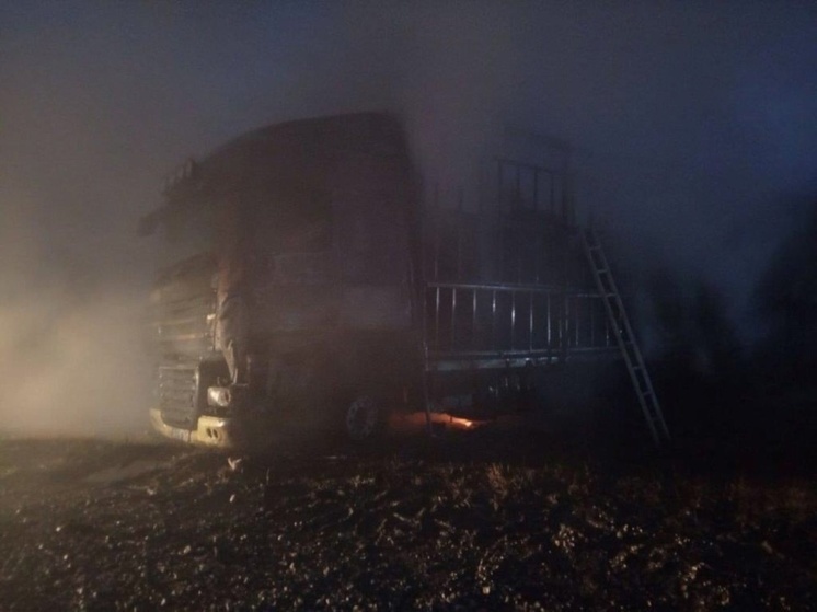 На трассе в Самарской области на ходу загорелся грузовик
