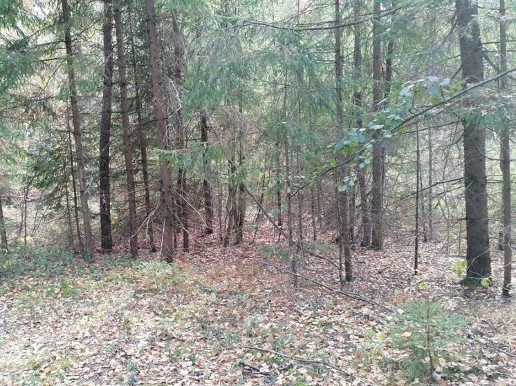 Пока 1-ый класс, уже завтра 2-ой: специалисты дали огненный прогноз