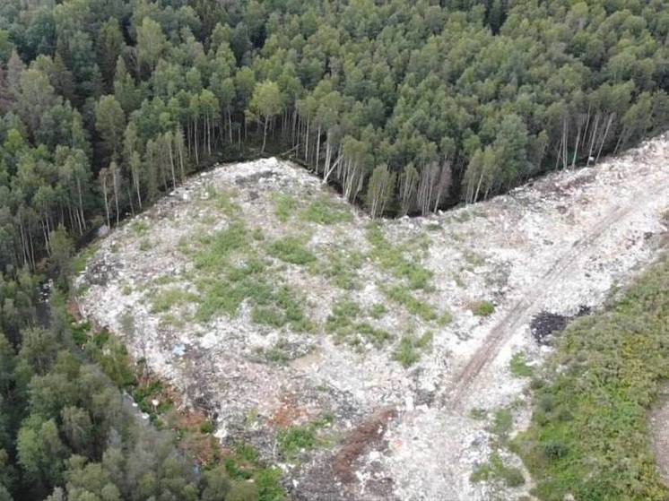 Арендатора мусорного полигона в Вырице оштрафовали на 164 миллиона рублей