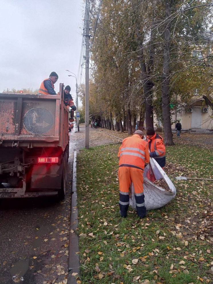 Уборка опавшей листвы проходит в Иркутске