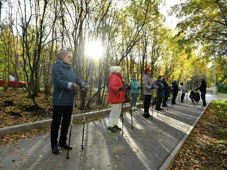 В День пожилых людей мурманчане занялись скандинавской ходьбой