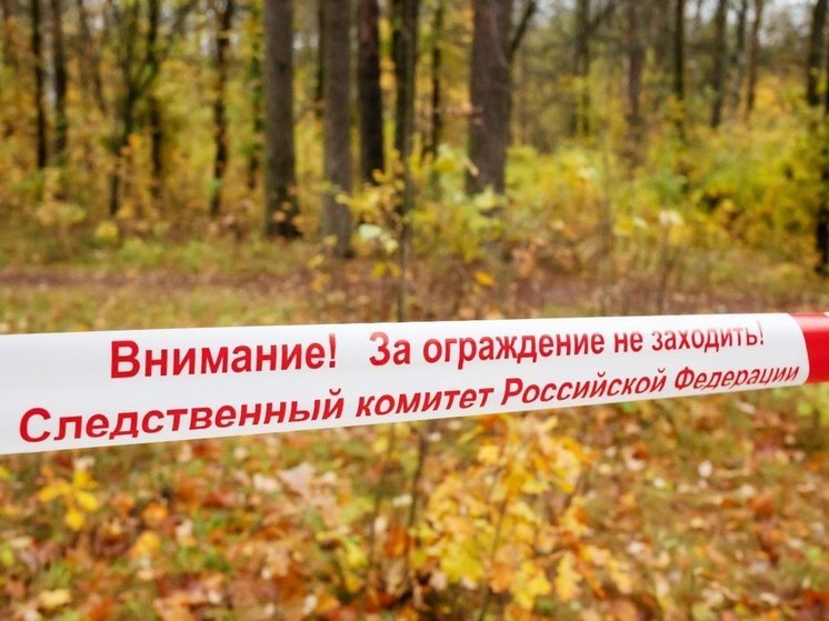 Следователи выясняют причину гибели мужчины, тело которого нашли в лесу под Тверью