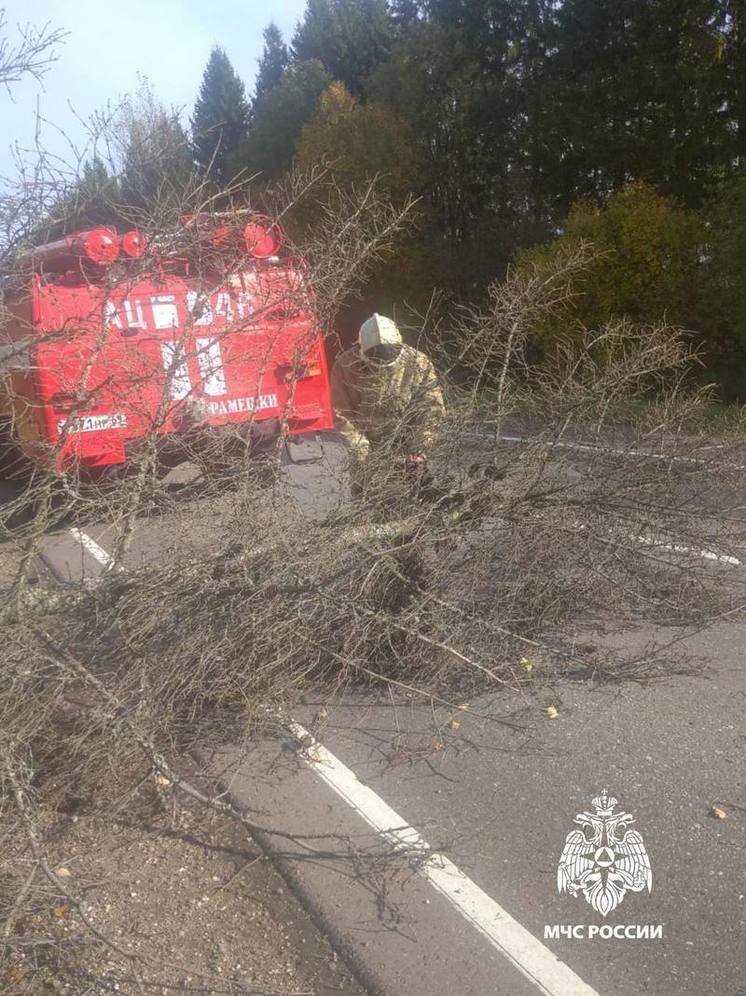 Движение по трассе в Тверской области перекрыла упавшая ель