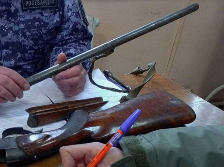 За неделю десять орловцев лишились оружия
