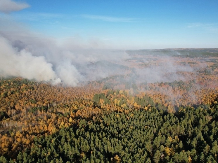 В Красноармейском районе обнаружен новый лесной пожар