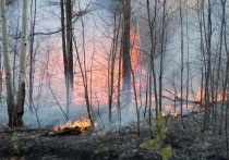 Крупный лесной пожар на утро 2 октября больше не распространяется по территории и не движется в направлении села Тунгокочен Тунгокоченского округа