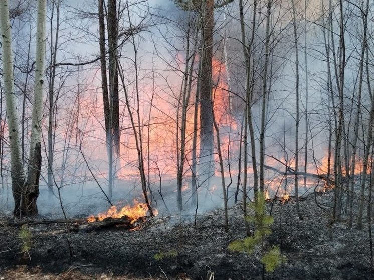 Лесной пожар перестал двигаться на село Тунгокочен в Забайкалье