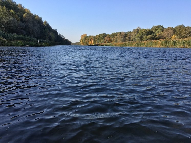 Погода в Воронежской области ожидается сухой и теплой